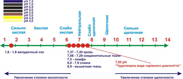 Шкала